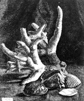 Frutti di mare, 1943, acquaforte, mm 210x177