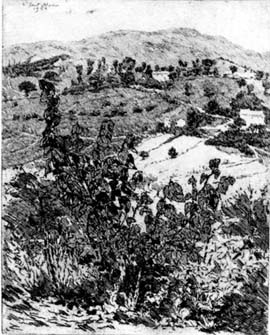 La collina di Gadana, 1952. acquaforte, mm 264x257