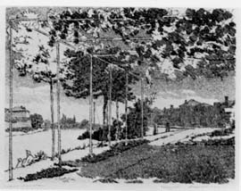 Pergolato a Mazzorbo, 1953, acquaforte, mm 248x332